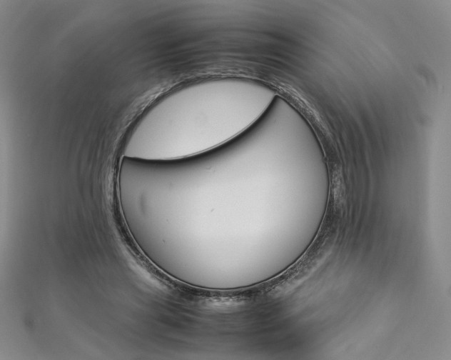 X0000113030445200908271059