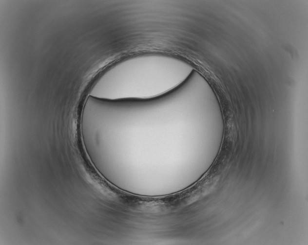 X0000113030446200908271059