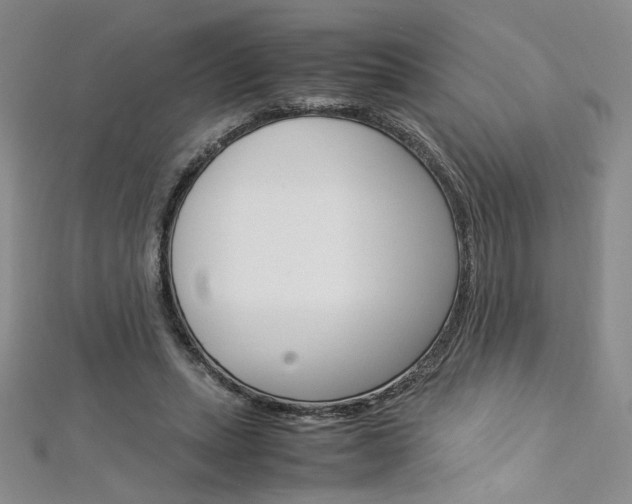 X0000113030447200908271059