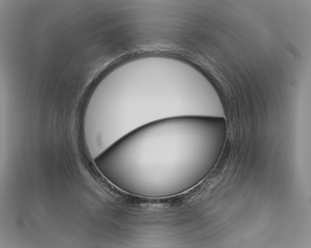 X0000113030448200908271059