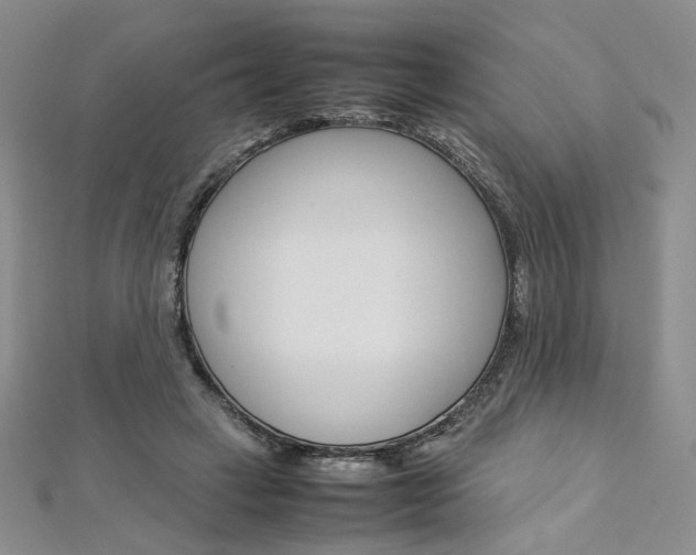 X0000113030449200908271059