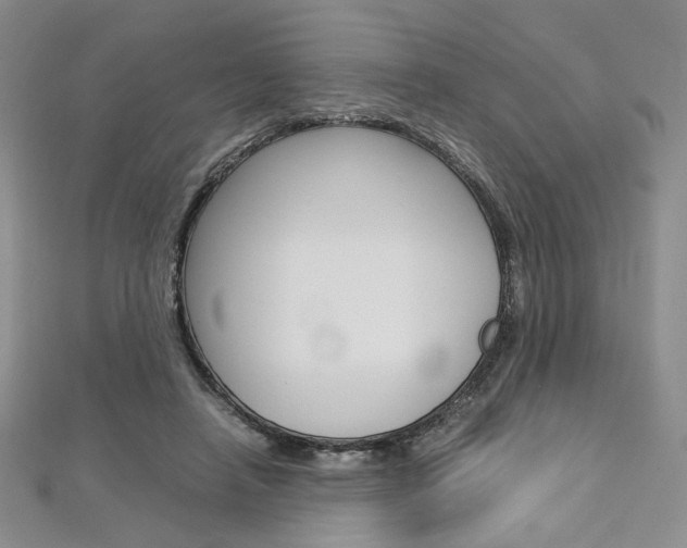 X0000113030450200908271059