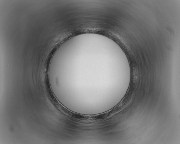 X0000113030451200908271059