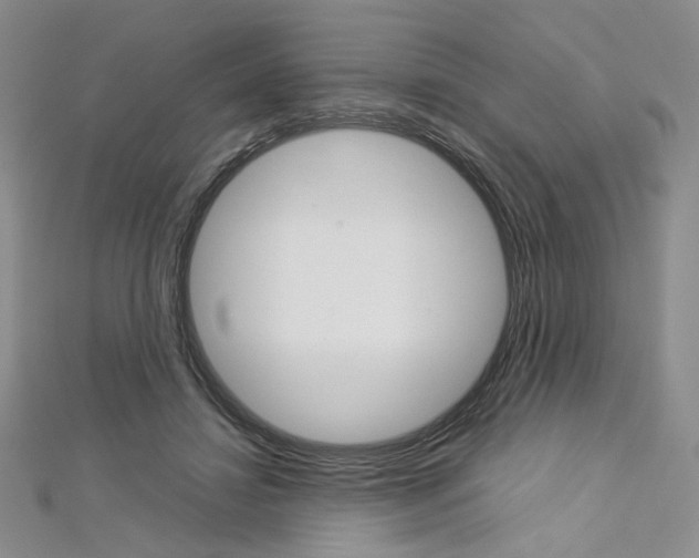 X0000113030452200908271059