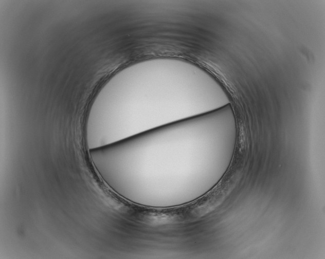 X0000113030453200908271059