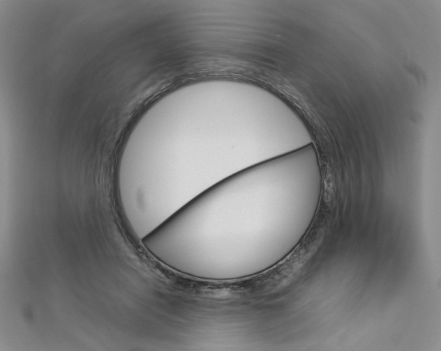 X0000113030454200908271059