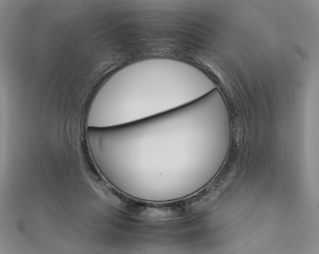 X0000113030455200908271059