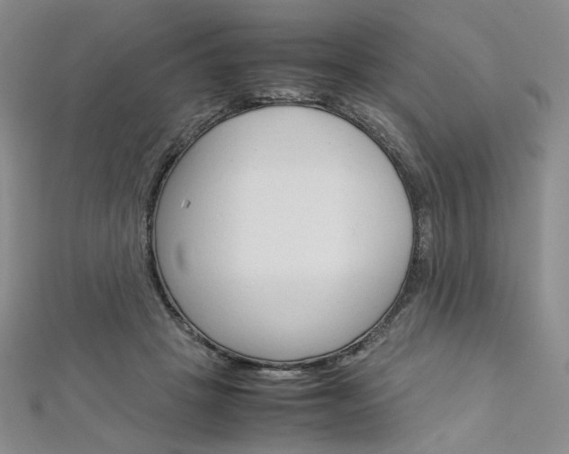 X0000113030457200908271059