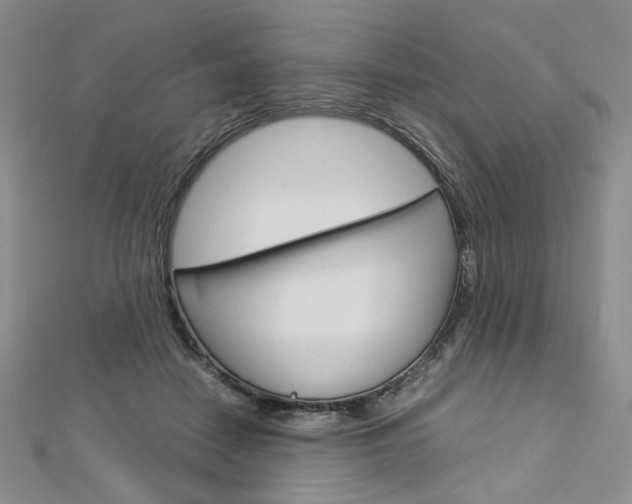 X0000113030458200908271059