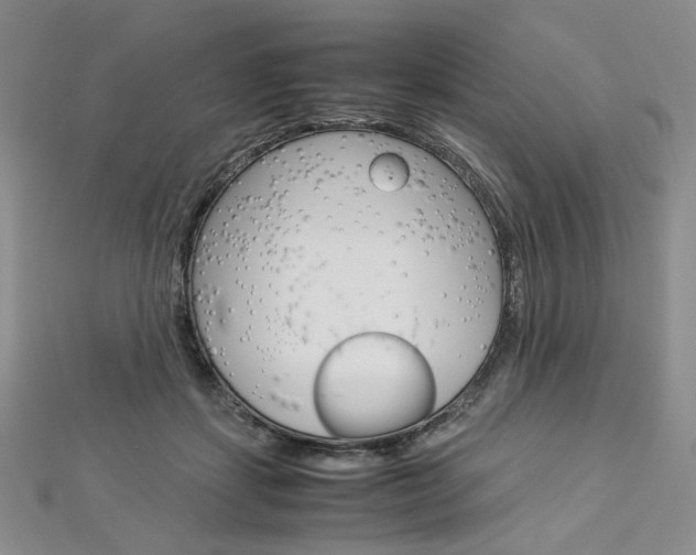 X0000113030459200908271059