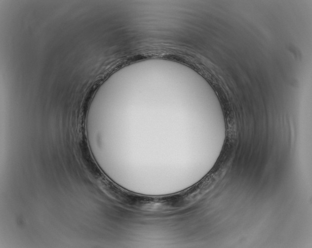 X0000113030460200908271059