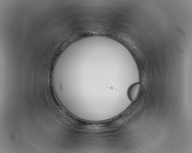 X0000113030461200908271059