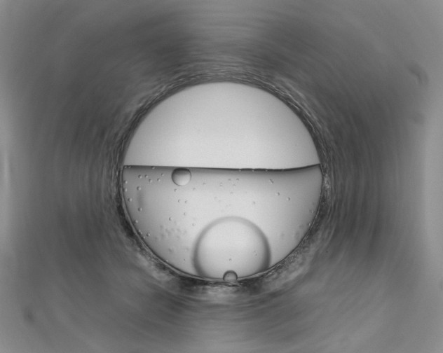 X0000113030462200908271059