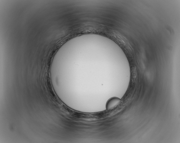 X0000113030463200908271059