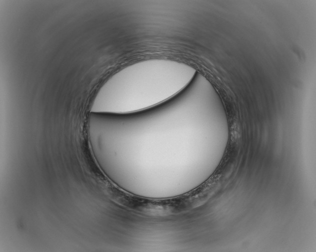 X0000113030464200908271059