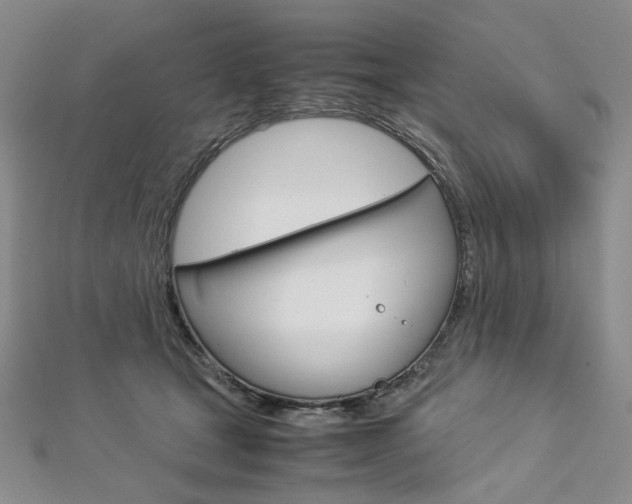 X0000113030465200908271059