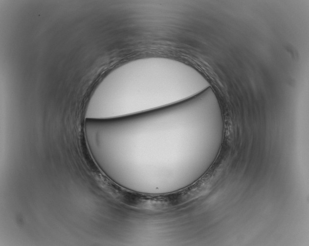 X0000113030466200908271059