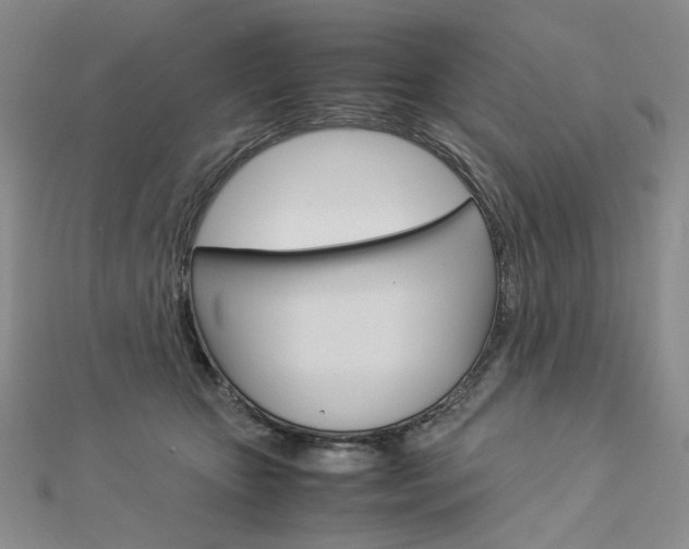 X0000113030467200908271059