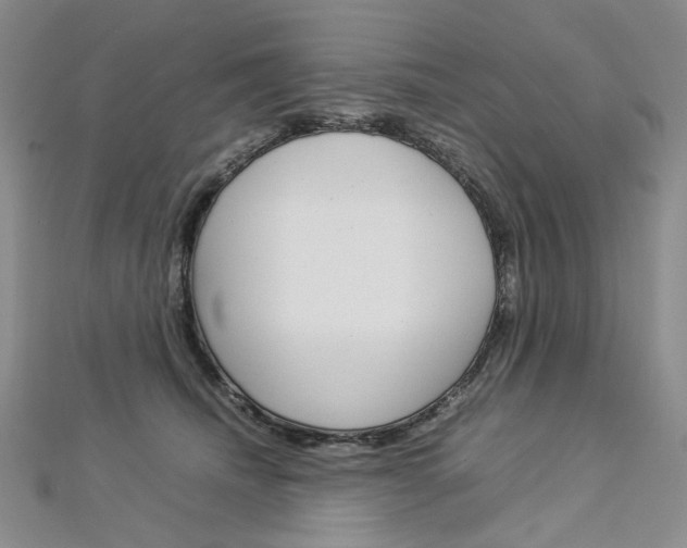 X0000113030468200908271059