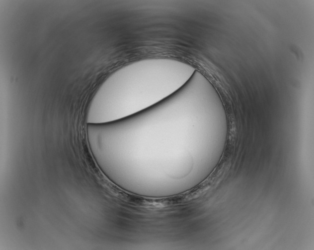 X0000113030469200908271059