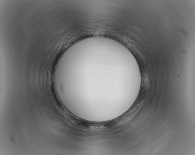 X0000113030470200908271059