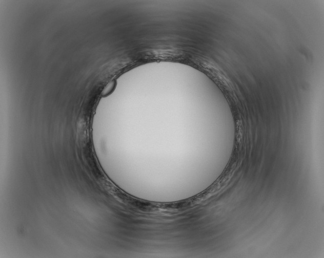 X0000113030471200908271059