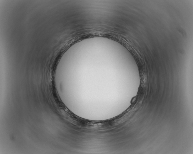 X0000113030472200908271059