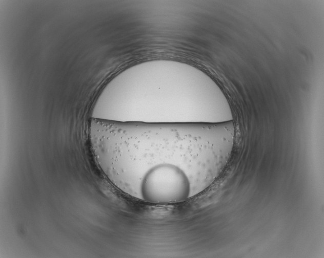 X0000113030474200908271059