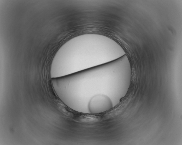 X0000113030475200908271059