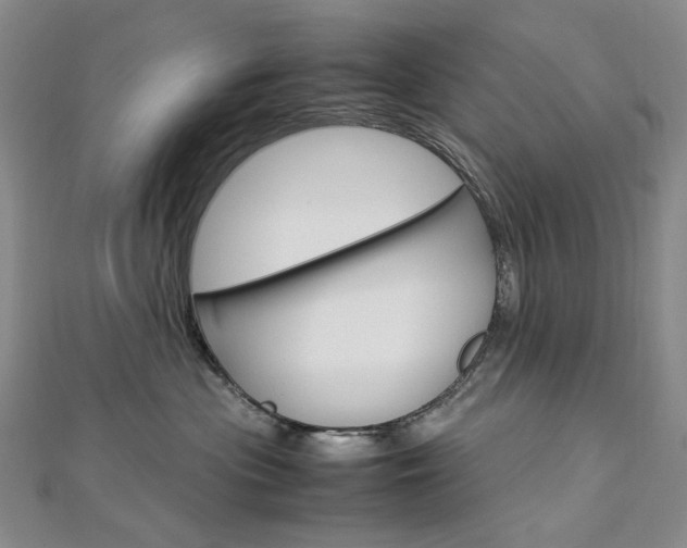 X0000113030477200908271059