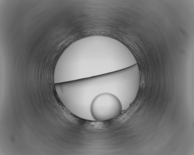 X0000113030478200908271059