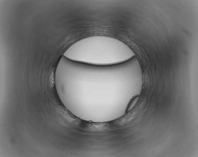 X0000113030479200908271059