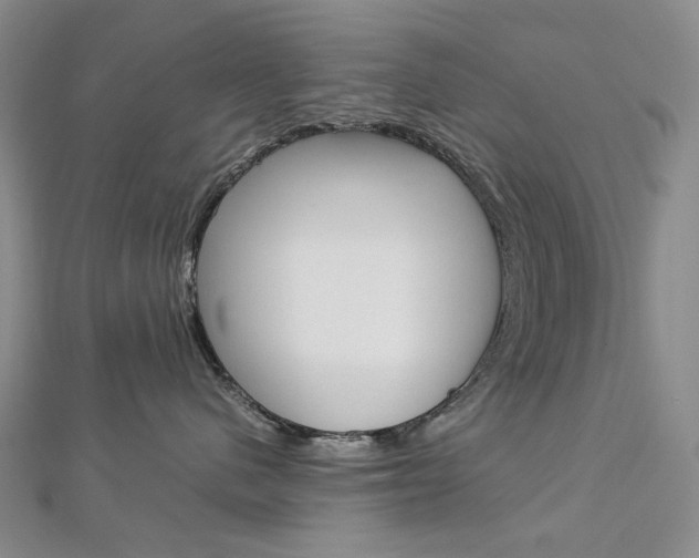 X0000113030480200908271059