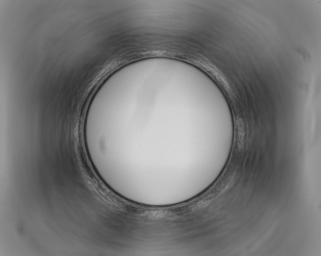 X0000113030482200908271058