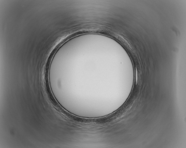 X0000113030483200908271058