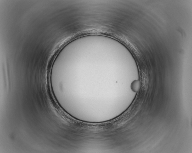 X0000113030486200908271058