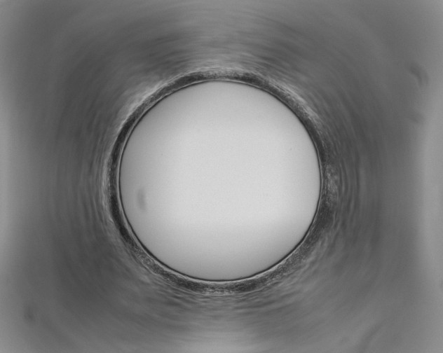 X0000113030487200908271058