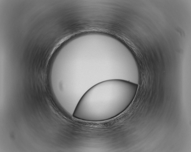 X0000113030488200908271058