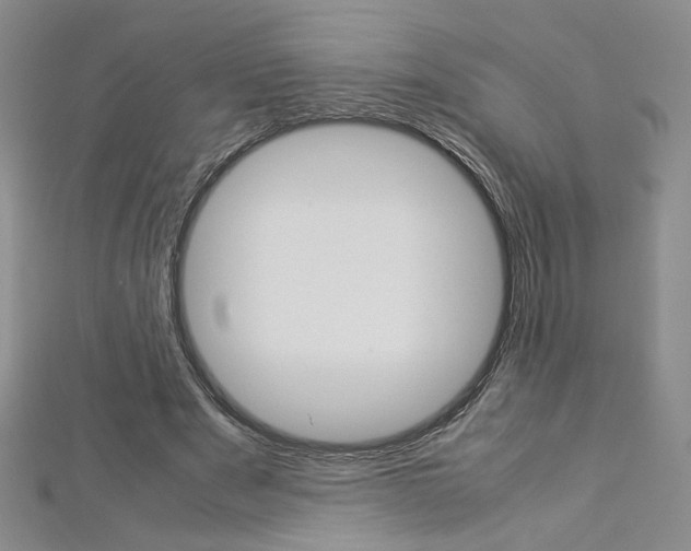 X0000113030489200908271058