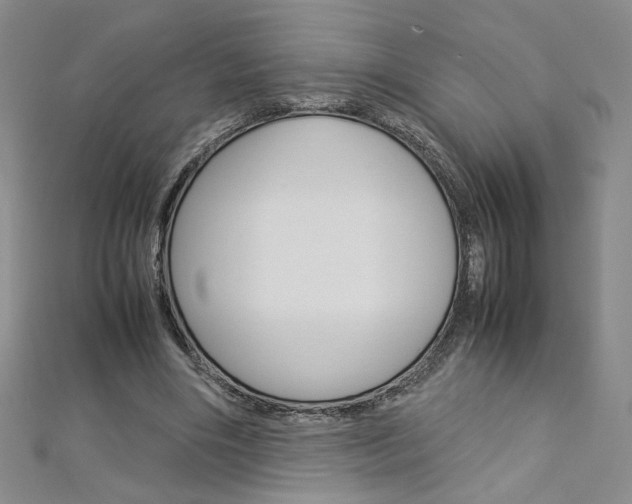 X0000113030490200908271058