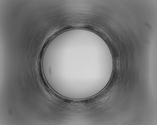 X0000113030491200908271058