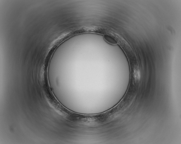 X0000113030492200908271058