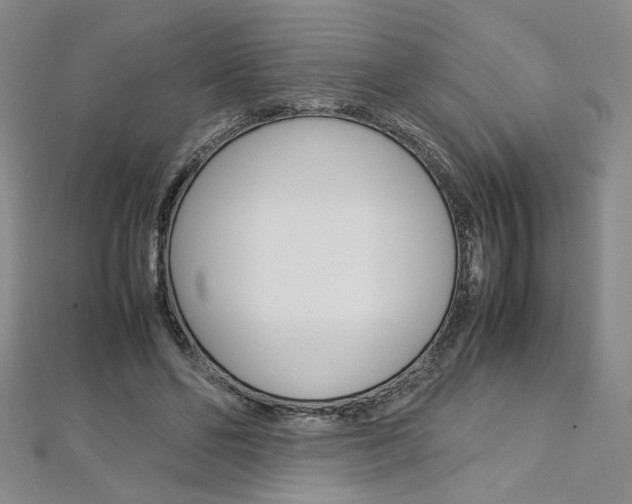 X0000113030494200908271058