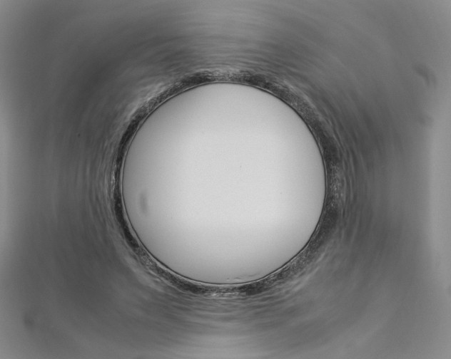 X0000113030495200908271058