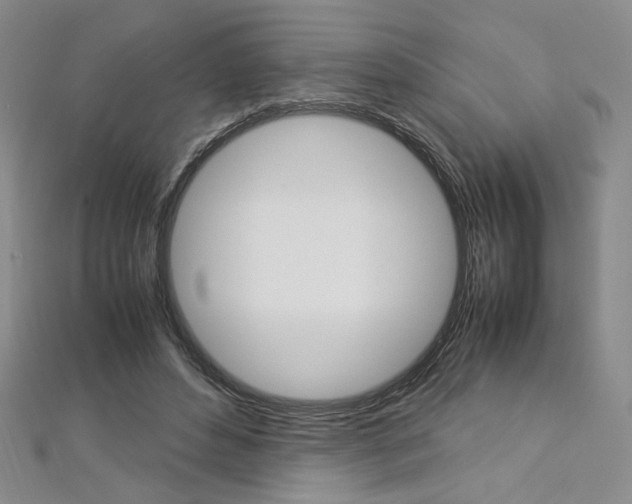 X0000113030496200908271058