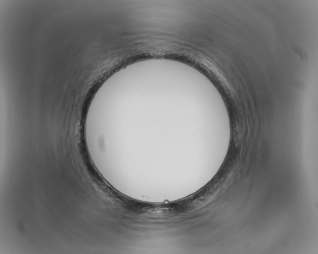X0000113030497200908271058