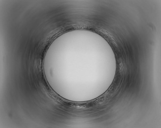 X0000113030498200908271058