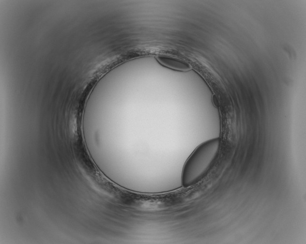 X0000113030500200908271058