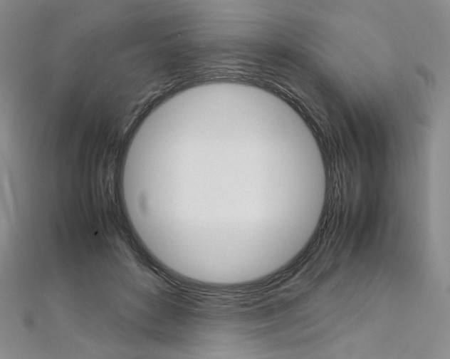 X0000113030504200908271058