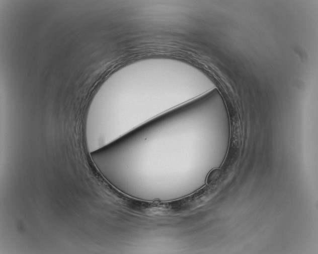 X0000113030505200908271058